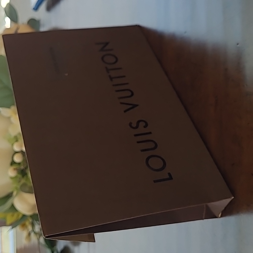 Louis Vuitton paper package
